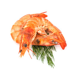 fresh shrimp isolated on a white background