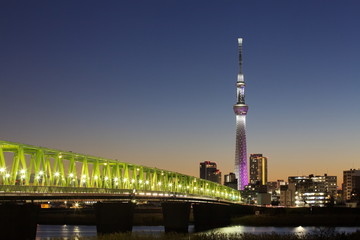 Naklejka na ściany i meble View of Tokyo skyline from Sumida river