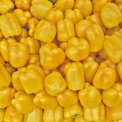 colorful yellow bell peppers for sale, natural background