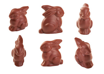 Chocolate Bunnies