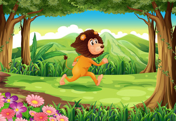 Fototapeta premium A jungle with a lion running