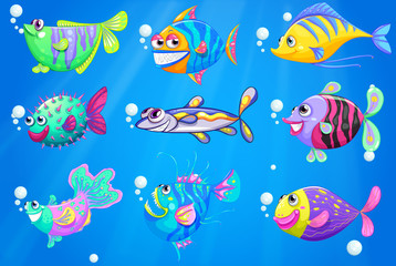 Fototapeta premium Nine colorful fishes under the sea