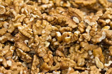 Walnüsse 10428.jpg