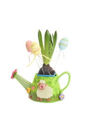 hyacinth in a pot with Easter eggs