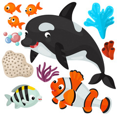 Sea elements and animals