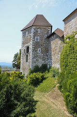Fototapeta na wymiar Zamek w Lublanie, Słowenia 3