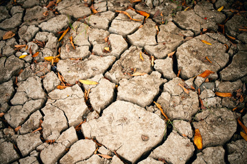 Dried earth and leaves because of rain dose not fall