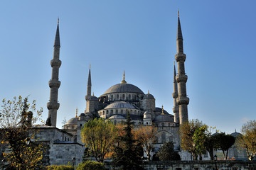 Fototapeta premium istanbul blue mosque