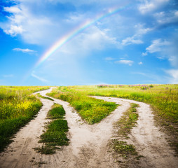 country road in the fields