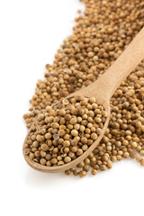 coriander spices in spoon