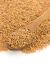 mustard spices and spoon on white