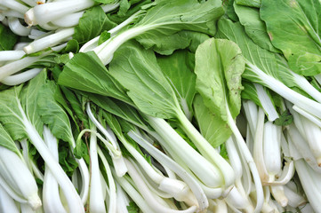 pakchoy