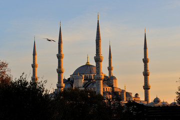 Fototapeta na wymiar istanbul blue mosque