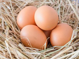 Fresh chicken eggs in the straw nest