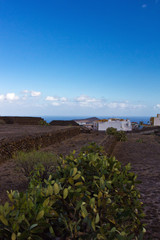 Pyramiden von Güimar - Teneriffa 9