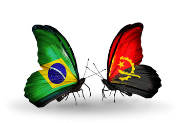 Two butterflies with flags Brazil and Angola