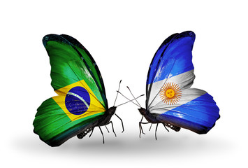 Two butterflies with flags Brazil and Argentina