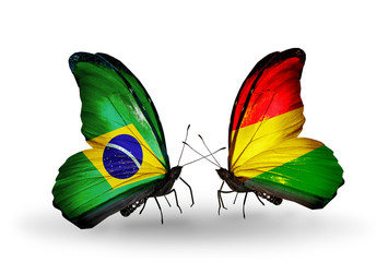 Fototapeta na wymiar Two butterflies with flags Brazil and Bolivia