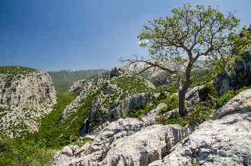 Dorgali, Sardinia (Italy). A view of Supramonte's mountains, between Oliena and Dorgali.