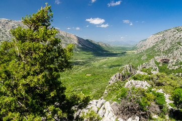 Dorgali, Sardinia (Italy). Supramonte's mountains, between Oliena and Dorgali. Lanaitto valley, near the nuragic village of Tiscali.
