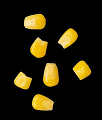 corn on a black background. macro