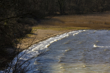 remote beach in a forest in Denmark