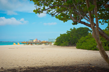 Beautiful beach in Aruba, Caribbean Islands, Lesser Antilles