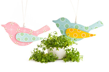 Beautiful decoration for easter isolated on white background