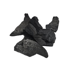 pile charcoal isolated on white background, xylanthrax