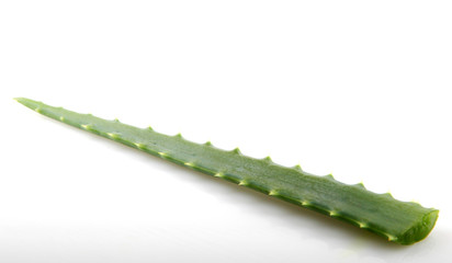 Aloe vera plant isolated on white.