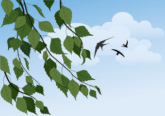 summer landscape with birch trees, blue sky and swallows
