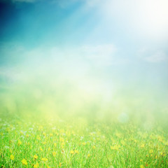 Plakat Spring sunny field