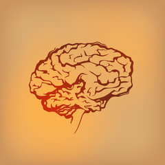 Brain. Vector format