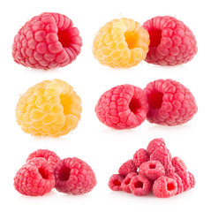 collection of 6 raspberry images