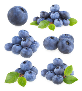 collection of 9 blueberry images