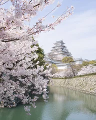 Fototapeten Kirschblüten und Schloss im Frühling, Japan © tororo reaction