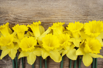 Beautiful yellow daffodils on brown wooden board. Copy space