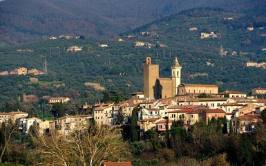 Vinci-Panoramic view