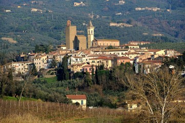 Vinci-Panoramic view