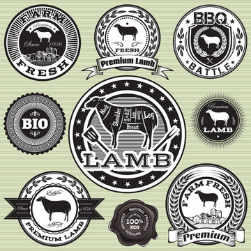vector set of labels with Sheep and lamb