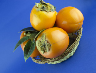 persimmon fruit