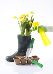gardening concept with a person watering spring flowers