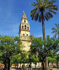 jardins de Cordoue
