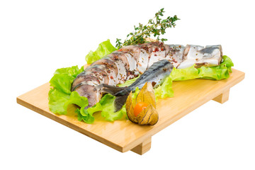 Mackerels