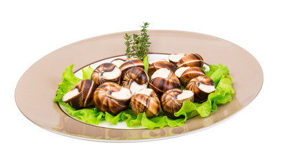 Escargot