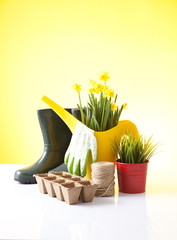 Set of gardening tools and spring flowers 