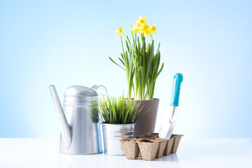 gardening tools and equipment isolated on blue