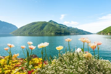 Tuinposter Flowers near lake with swans, Lugano, Switzerland © mikeng