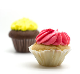 Colorful Cup Cake