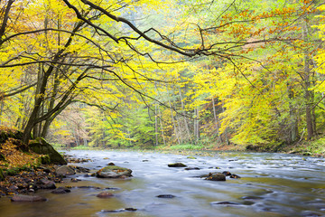 Metuje river in autumn, Czech Republic